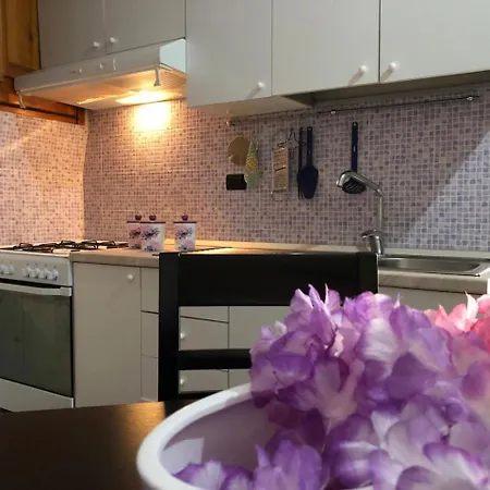 Lady House Apartment