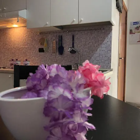 Apartment Lady House